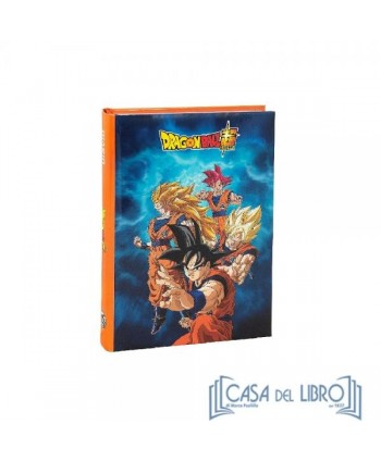 DIARIO DRAGONBALL 12 MESI...