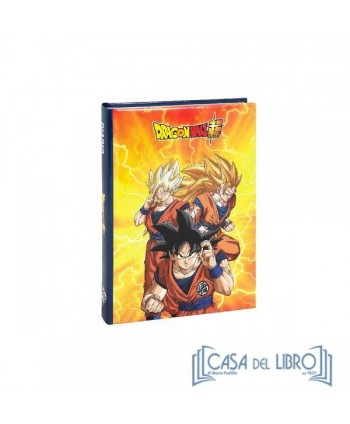 DIARIO DRAGONBALL 12 MESI...